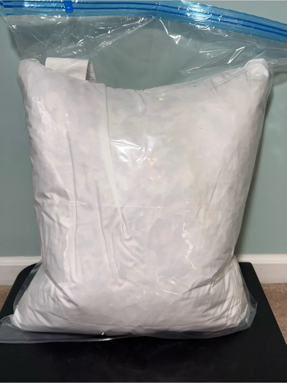 Plain White Decorative Pillow Insert 18X18